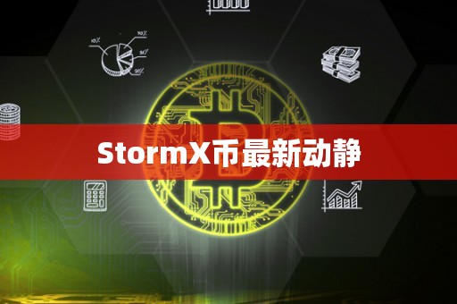 StormX币最新动静