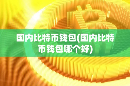 国内比特币钱包(国内比特币钱包哪个好)