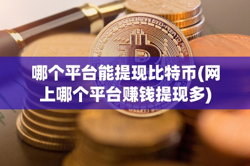 哪个平台能提现比特币(网上哪个平台赚钱提现多)
