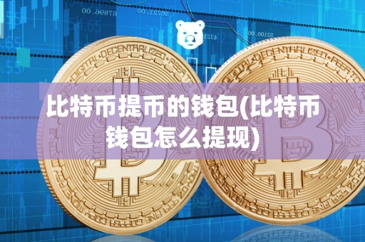比特币提币的钱包(比特币钱包怎么提现)