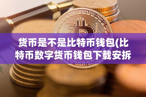 货币是不是比特币钱包(比特币数字货币钱包下载安拆)
