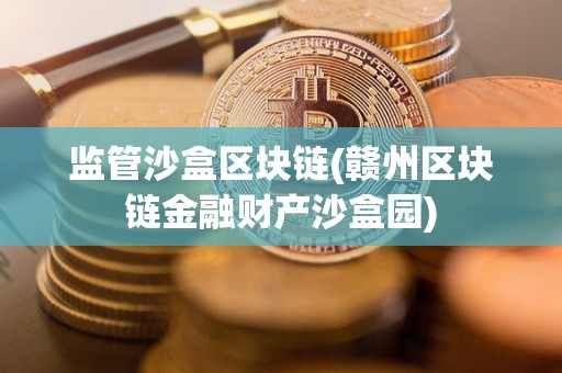 监管沙盒区块链(赣州区块链金融财产沙盒园)