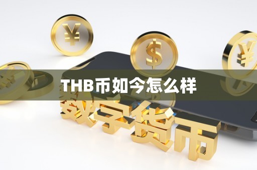 THB币如今怎么样