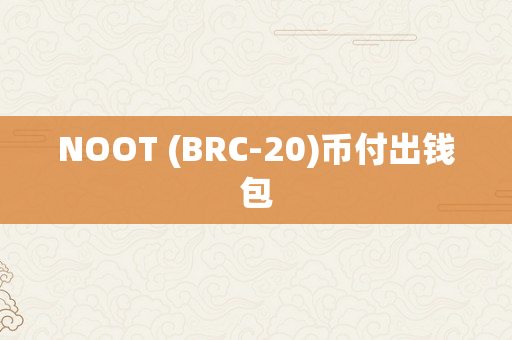 NOOT (BRC-20)币付出钱包