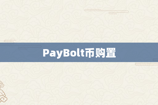 PayBolt币购置