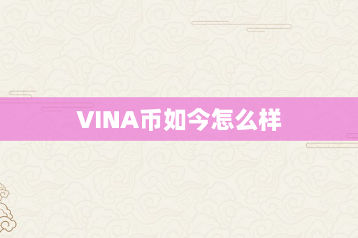 VINA币如今怎么样