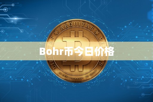 Bohr币今日价格