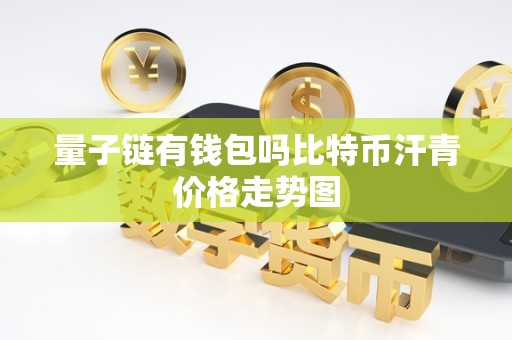 量子链有钱包吗比特币汗青价格走势图
