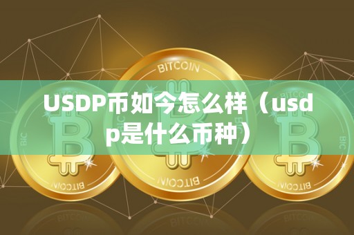 USDP币如今怎么样（usdp是什么币种）