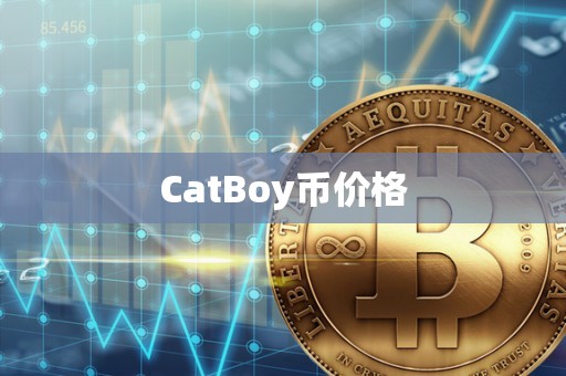 CatBoy币价格
