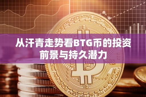 从汗青走势看BTG币的投资前景与持久潜力