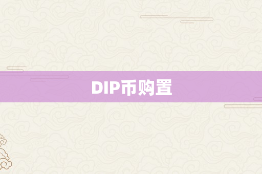 DIP币购置