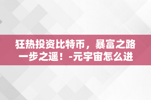 狂热投资比特币，暴富之路一步之遥！-元宇宙怎么进入