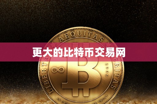 更大的比特币交易网