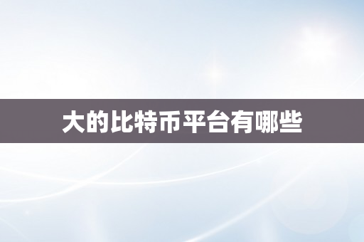 大的比特币平台有哪些