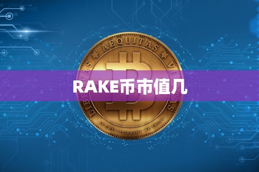 RAKE币市值几