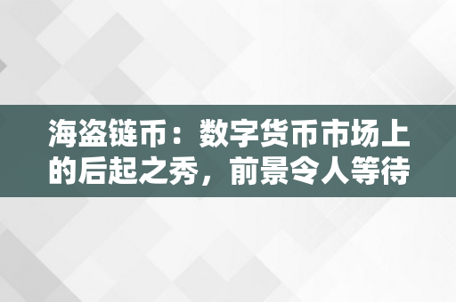 海盗链币：数字货币市场上的后起之秀，前景令人等待！（海盗币官方中文社区）