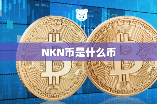 NKN币是什么币