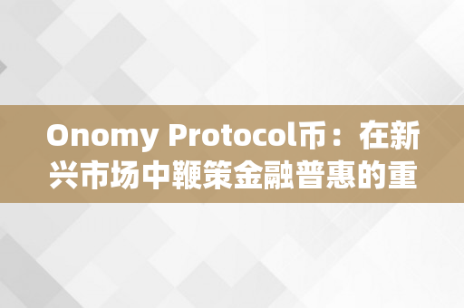 Onomy Protocol币：在新兴市场中鞭策金融普惠的重要角色