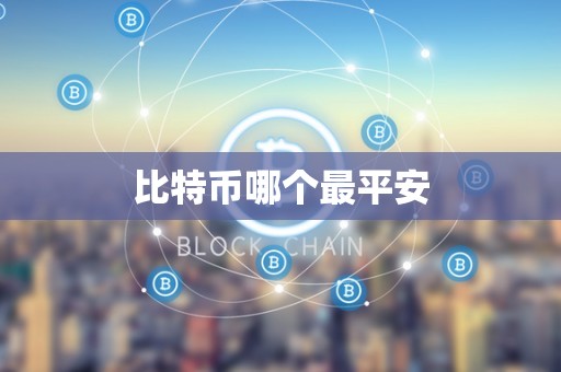 比特币哪个最平安