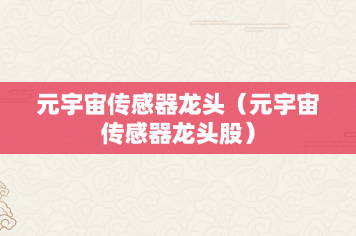 元宇宙传感器龙头（元宇宙传感器龙头股）