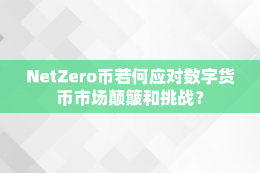 NetZero币若何应对数字货币市场颠簸和挑战？