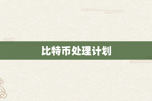 比特币处理计划