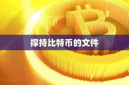撑持比特币的文件