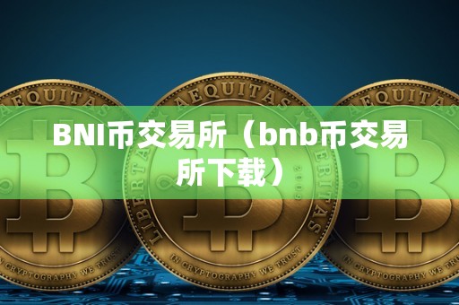 BNI币交易所（bnb币交易所下载）