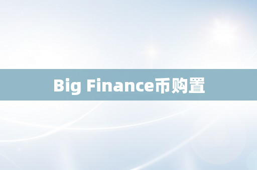 Big Finance币购置