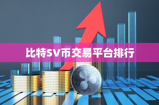 比特SV币交易平台排行
