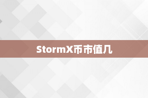 StormX币市值几