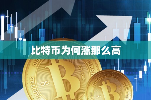 比特币为何涨那么高