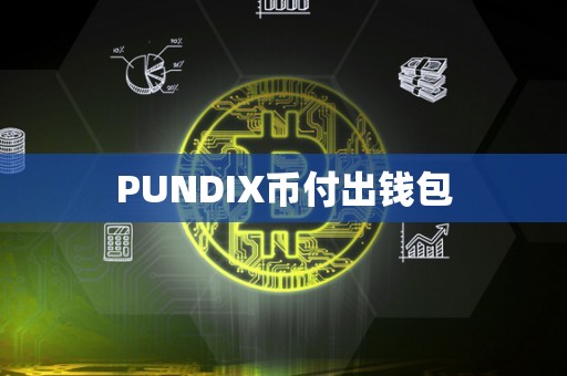 PUNDIX币付出钱包