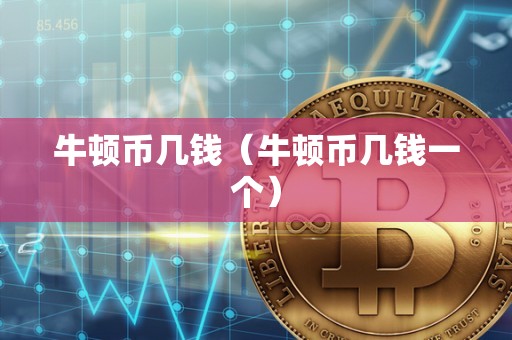 牛顿币几钱（牛顿币几钱一个）