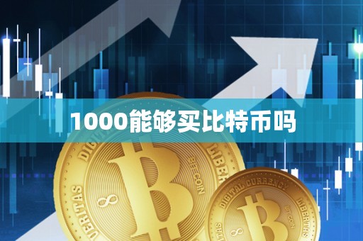 1000能够买比特币吗