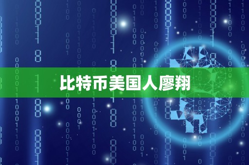 比特币美国人廖翔