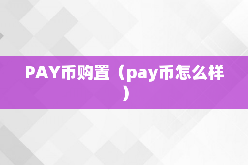 PAY币购置（pay币怎么样）