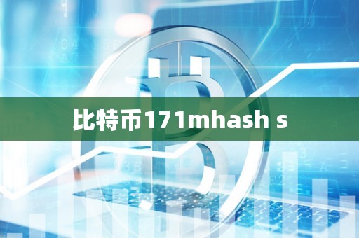 比特币171mhash s