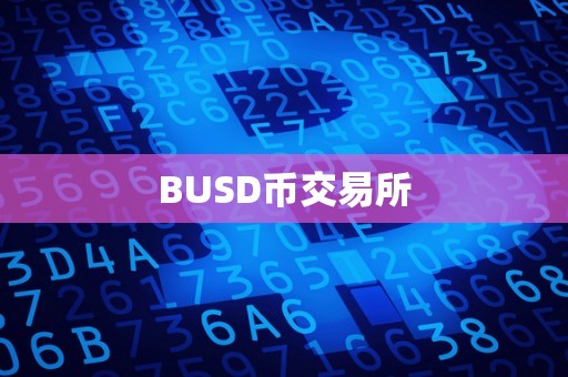 BUSD币交易所