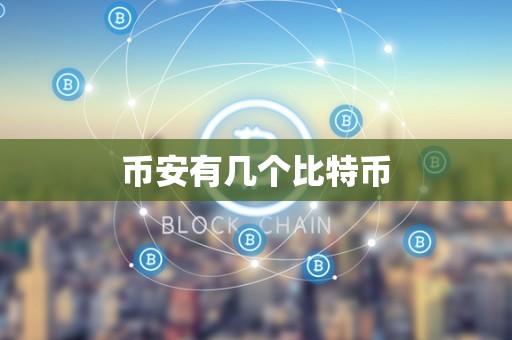 币安有几个比特币