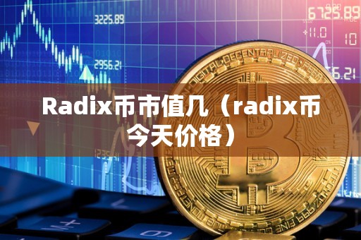 Radix币市值几（radix币今天价格）