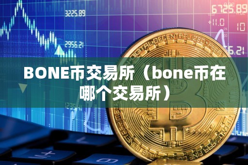 BONE币交易所（bone币在哪个交易所）