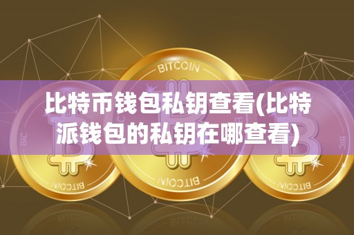 比特币钱包私钥查看(比特派钱包的私钥在哪查看)