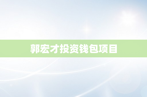 郭宏才投资钱包项目