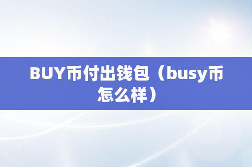 BUY币付出钱包（busy币怎么样）