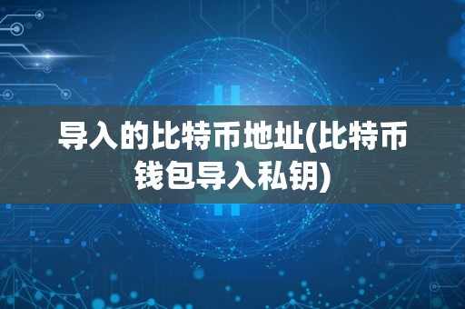 导入的比特币地址(比特币钱包导入私钥)