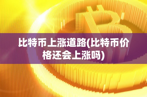 比特币上涨道路(比特币价格还会上涨吗)