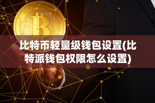 比特币轻量级钱包设置(比特派钱包权限怎么设置)