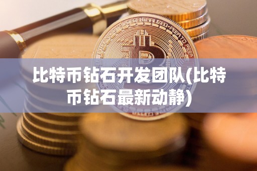 比特币钻石开发团队(比特币钻石最新动静)